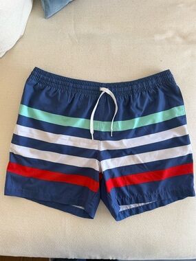 Chubbies Multi Colored Striped Swim Trunks